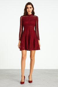 High Neck Crochet Lace Skater Dress - Burgundy