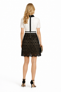 Paris Hilton Inspired Two-tone Guipure Lace Mini Dress