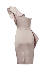 Curvaceous Satin One Shoulder Dress in Dusty Pink