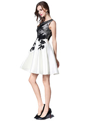 Floral Appliqué Lace Fit And Flared Party Dress