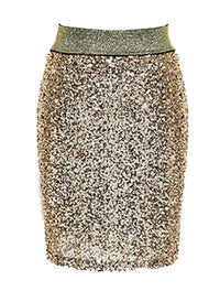 Sequinned Bodycon Fitted Party Mini Skirt