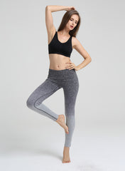 Ombré  Seamless Compression Yoga Leggings in Grey